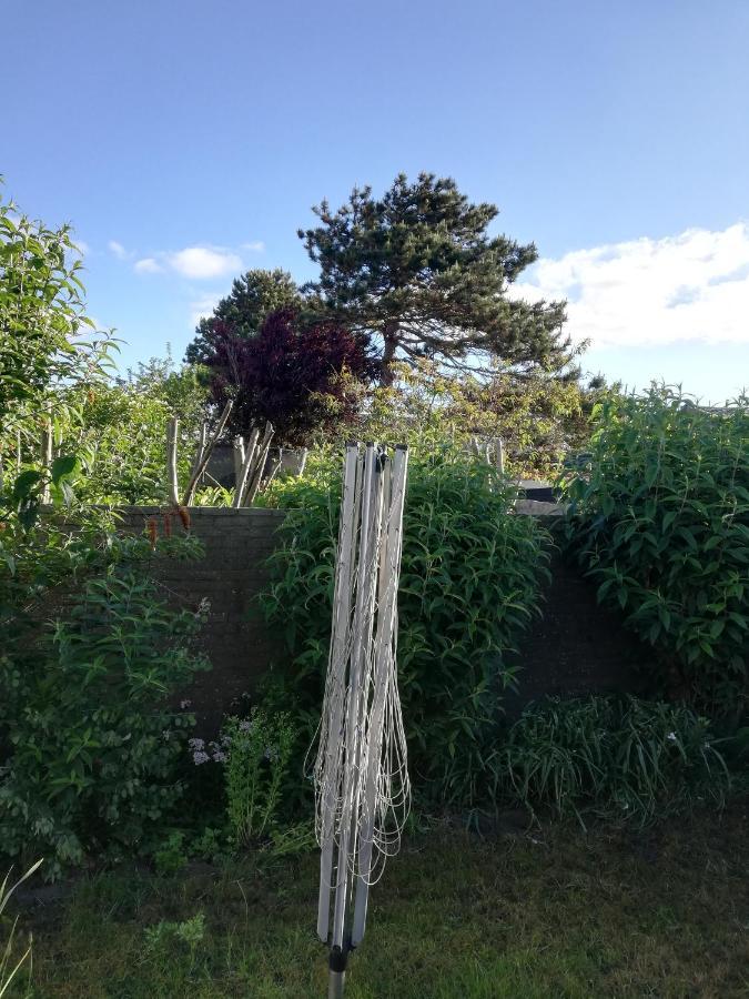 Cottage Egmond-Binnen Met Besloten Tuin Exterior foto